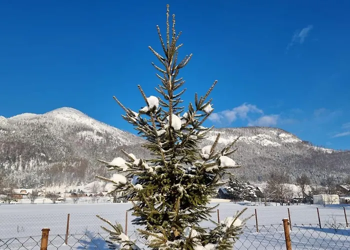 Evin*raj Apartman Kvacsan